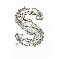 letter S