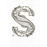 letter S