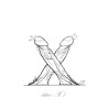 letter X1